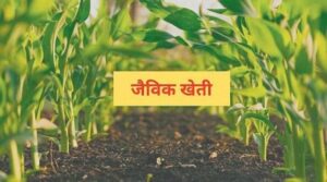 WhatsApp Image 2023 05 30 at 2.09.02 PM HindiGyan.Net जैविक खेती क्या हैं jaivik kheti kya hai? 2023
