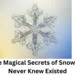 Unlock the Magical Secrets of Snowflakes You Never Knew Existed