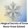 Unlock the Magical Secrets of Snowflakes You Never Knew Existed