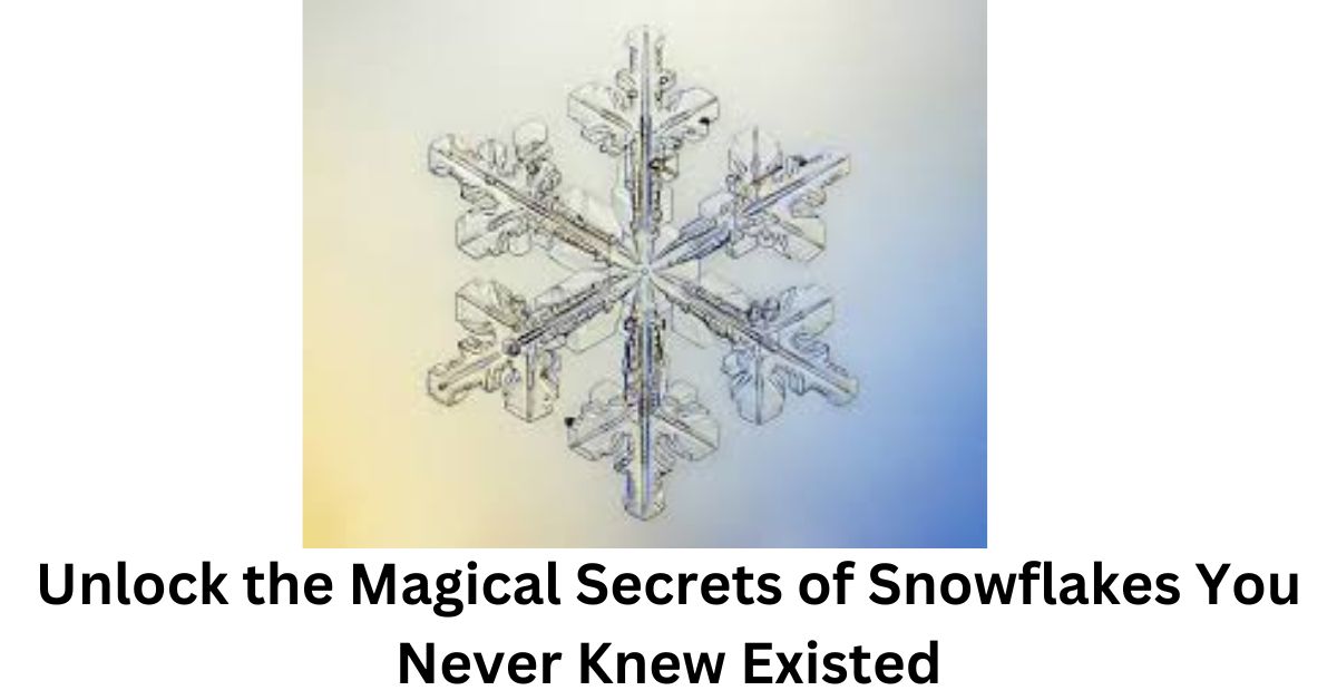 Unlock the Magical Secrets of Snowflakes You Never Knew Existed