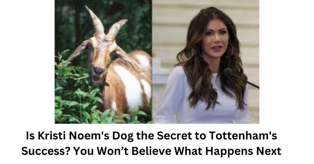 Is Kristi Noem's Dog the Secret to Tottenham's Success? You Won’t Believe What Happens Next