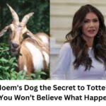 Is Kristi Noem's Dog the Secret to Tottenham's Success? You Won’t Believe What Happens Next